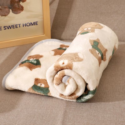 Cat-Specific Blanket