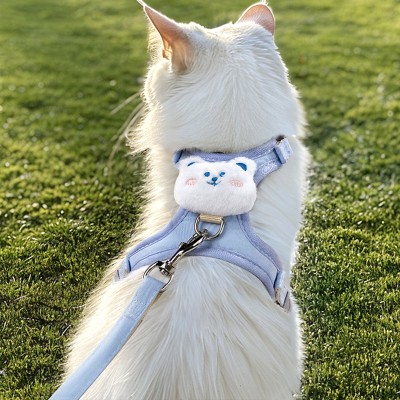 Adorable Kitten Leash
